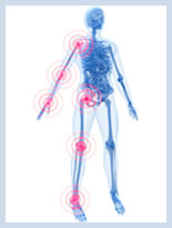 Arthrobonum